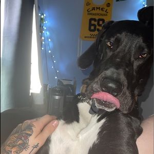 Meet your Posher, Adam